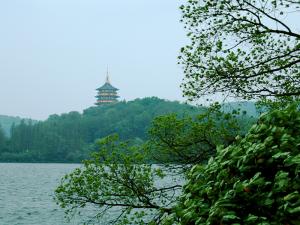 人文杭州，父母們來了！河南礦山第十三屆孝文化感恩旅游節第三站